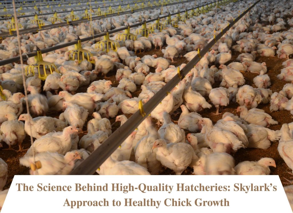 Poultry Hatcheries