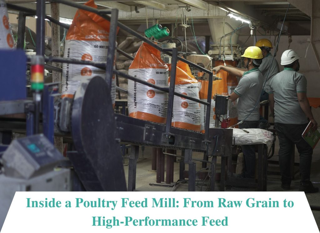 Poultry Feed Mill