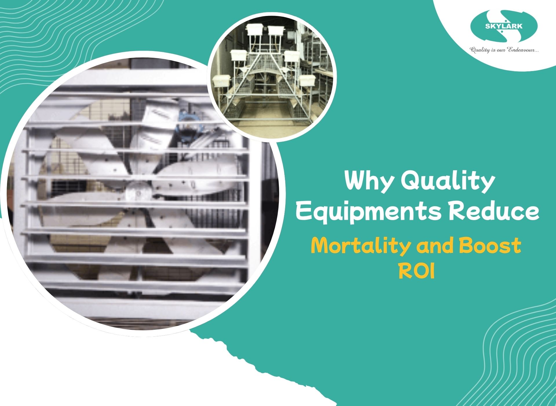 Poultry Equipments